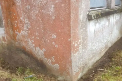 Janvier 2025 : traitement des remontées capillaires