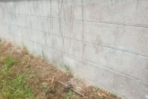 Janvier 2025 : traitement des remontées capillaires