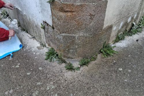 Janvier 2025 : traitement des remontées capillaires